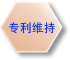 专利维持